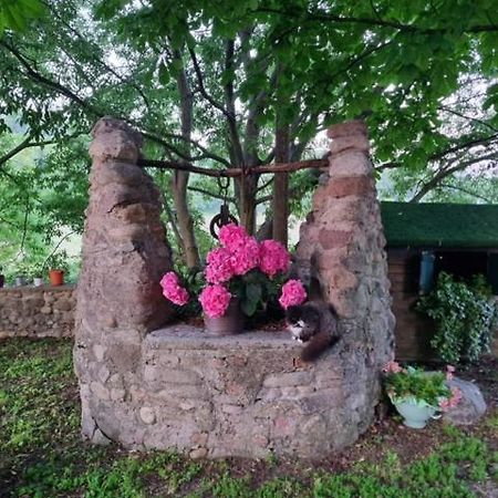 Agriturismo Case In Collina Вольта-Мантована Экстерьер фото